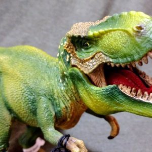Tiranossauro Rex Fêmea Museum Model