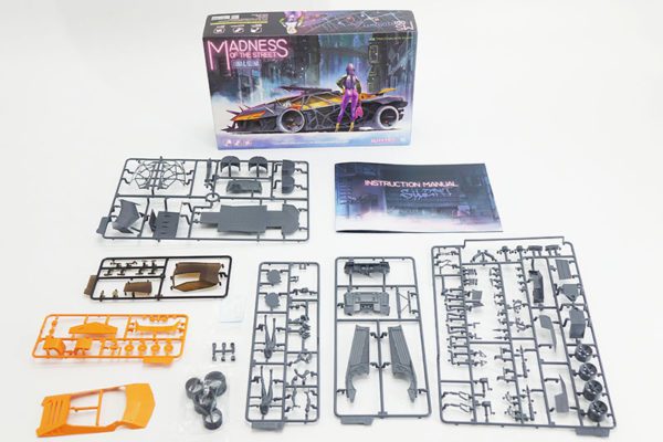 Madness of Street - Luna & Selena 1/32 Model kit 7