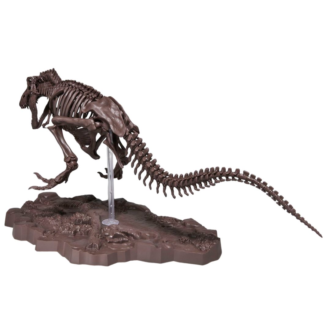 T Rex Tiranossauro Rex Esqueleto Dinossauro Brinquedo Animal Modelo Coletor  Super Decoração Tiranossauro Rex Esqueleto - Kits De Construção De Modelos  - AliExpress