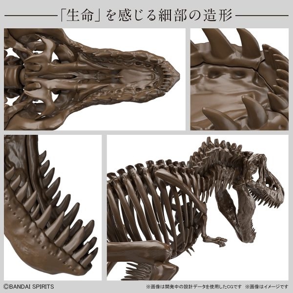 Tiranossauro Rex -Esqueleto- Model Kit Bandai 7
