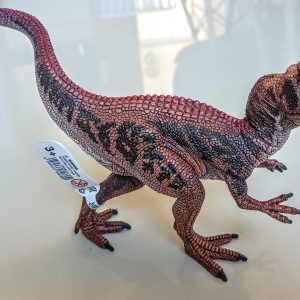 Dinossauro Alossauro Museum Model