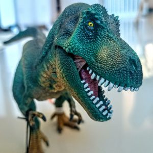Dinossauro Tiranossauro Rex Museum Model