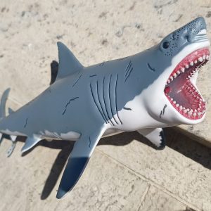 Dinossauro Megalodon Museum Model