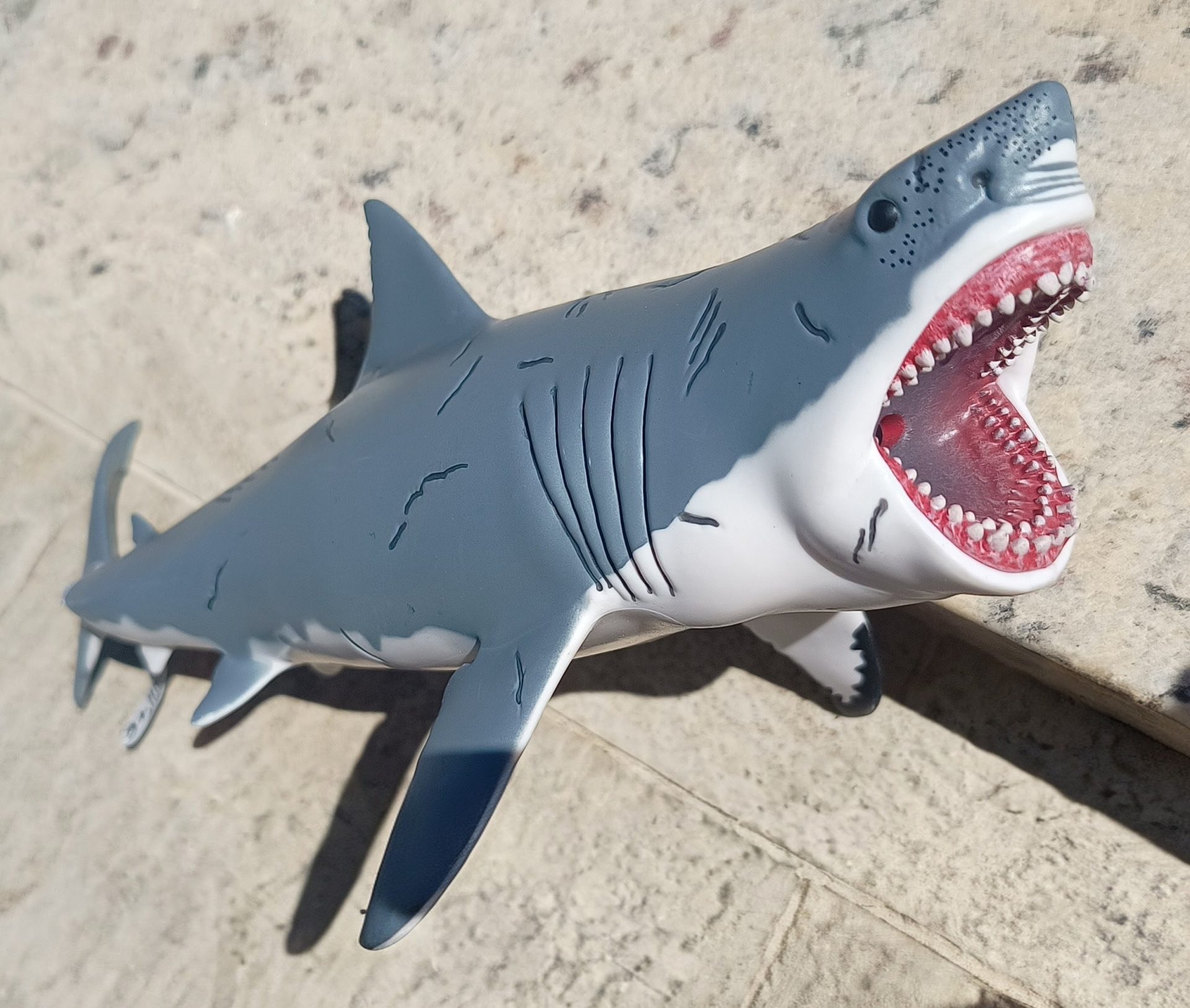 Dinossauro Megalodon Museum Model 1 Dinossauro Megalodon Museum Model