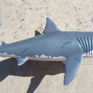 Dinossauro Megalodon Museum Model