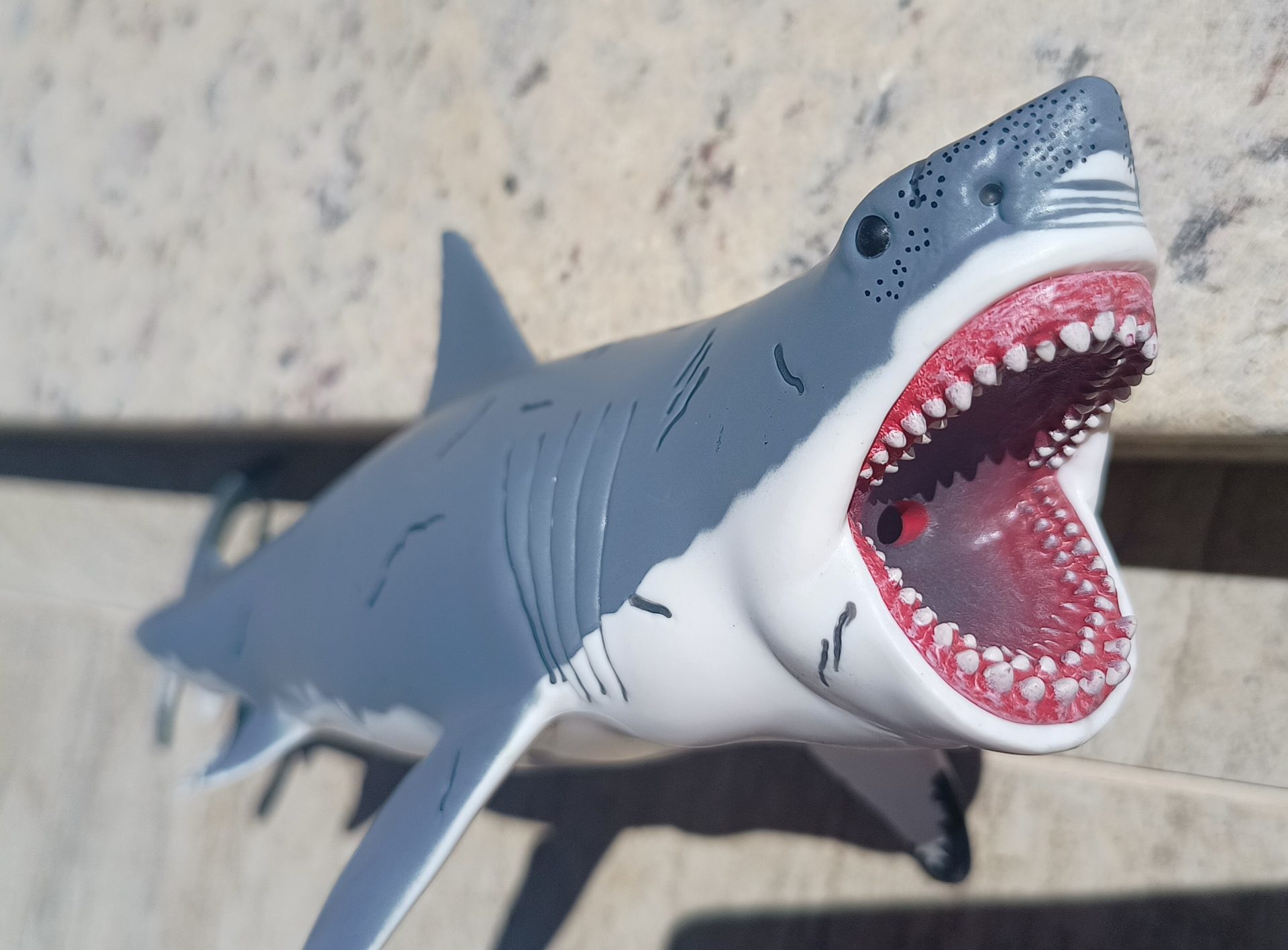 Dinossauro Megalodon Museum Model 13 Dinossauro Megalodon Museum Model - Imagem 13