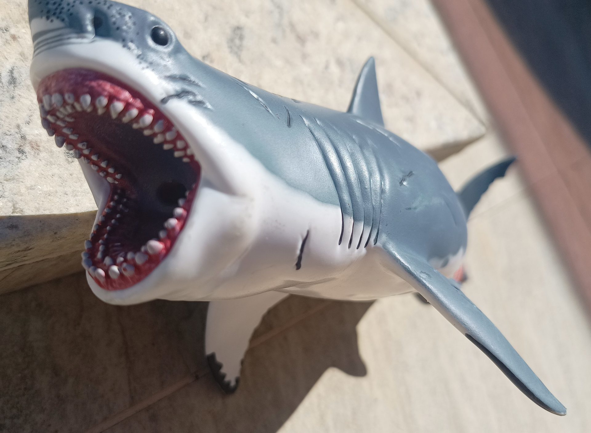 Dinossauro Megalodon Museum Model 14 Dinossauro Megalodon Museum Model - Imagem 14