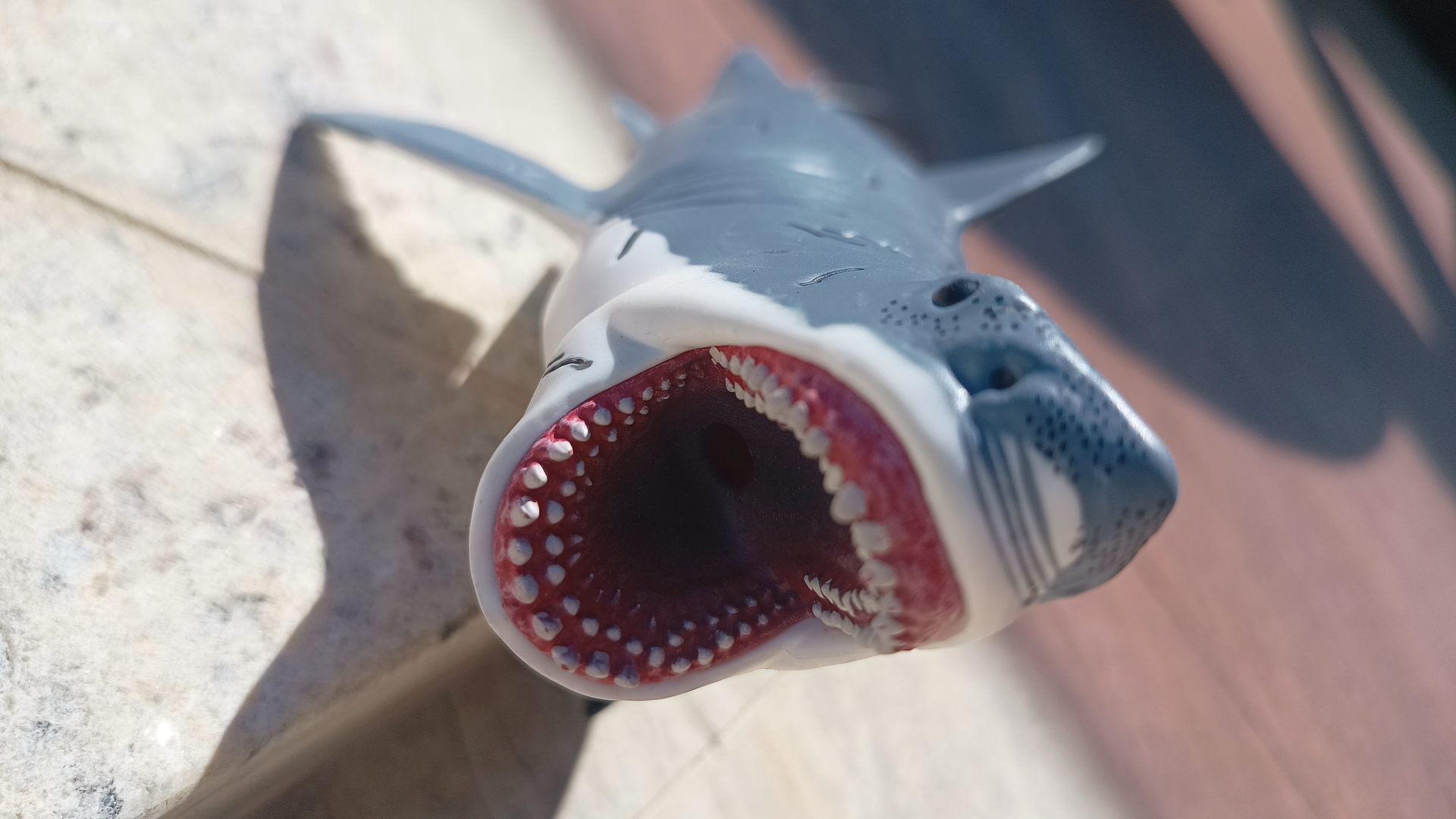 Dinossauro Megalodon Museum Model 12 Dinossauro Megalodon Museum Model - Imagem 12