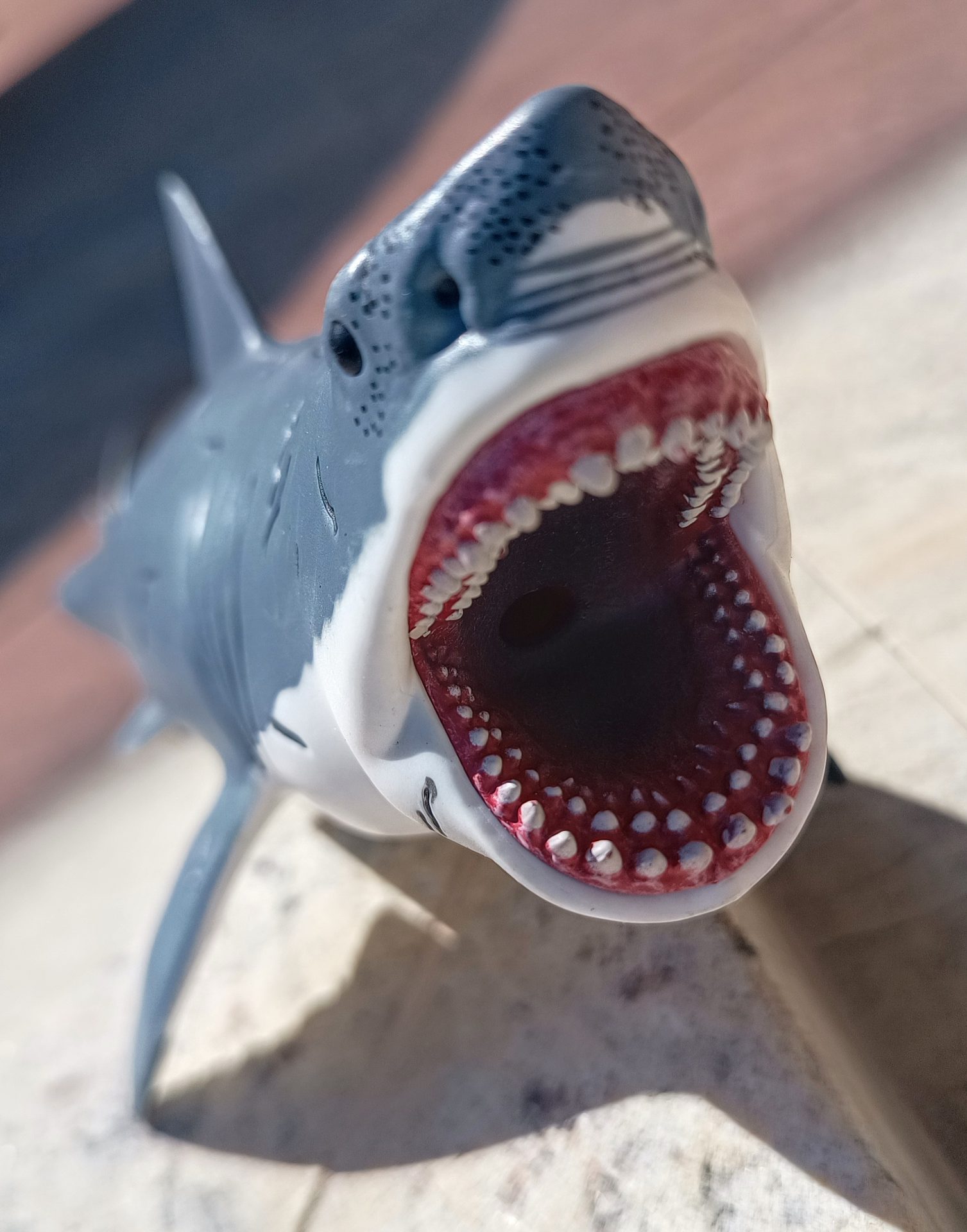 Dinossauro Megalodon Museum Model 5 Dinossauro Megalodon Museum Model - Imagem 5