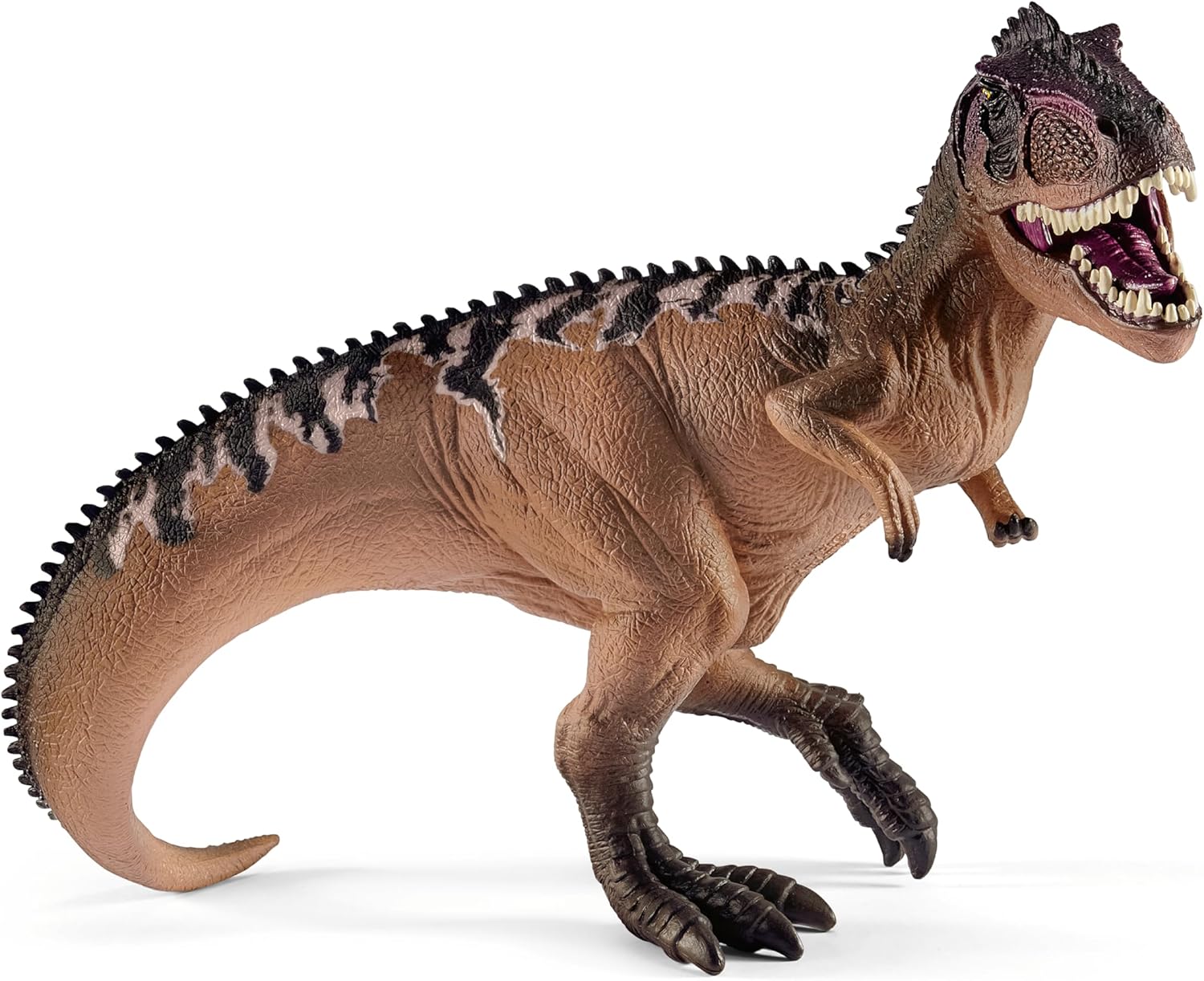 Dinossauro Gigantossauro Museum Model 2 Dinossauro Gigantossauro Museum Model - Imagem 2