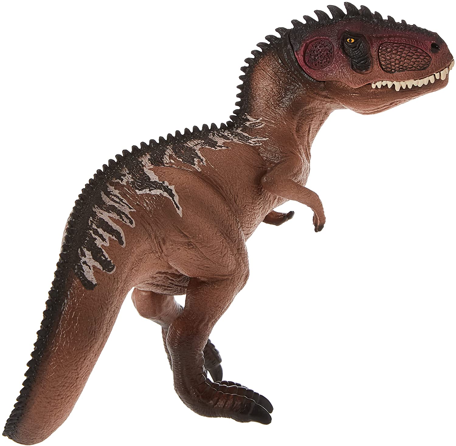 Dinossauro Gigantossauro Museum Model 1 Dinossauro Gigantossauro Museum Model