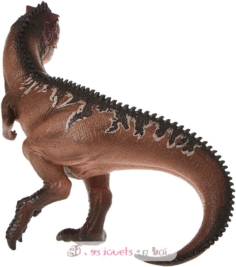 Dinossauro Gigantossauro Museum Model 4 Dinossauro Gigantossauro Museum Model - Imagem 4