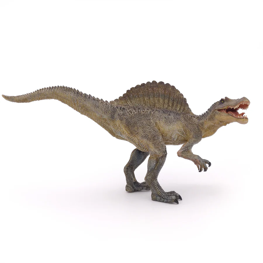 Dinossauro Spinossauro Museum Model 3 Dinossauro Spinossauro Museum Model - Imagem 3