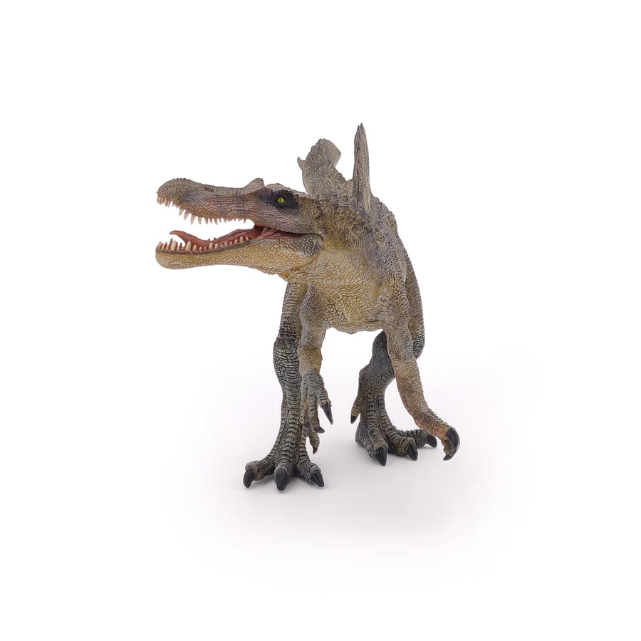 Dinossauro Spinossauro Museum Model 4 Dinossauro Spinossauro Museum Model - Imagem 4