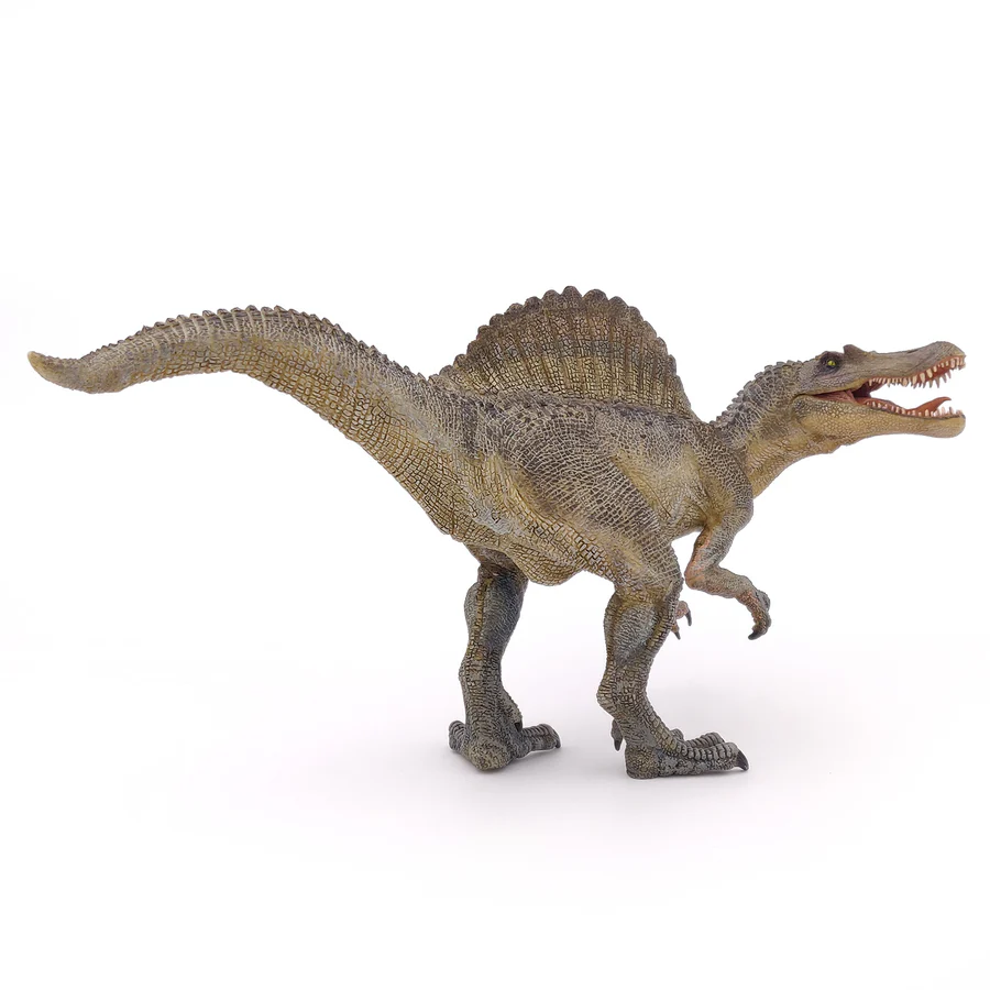 Dinossauro Spinossauro Museum Model 5 Dinossauro Spinossauro Museum Model - Imagem 5