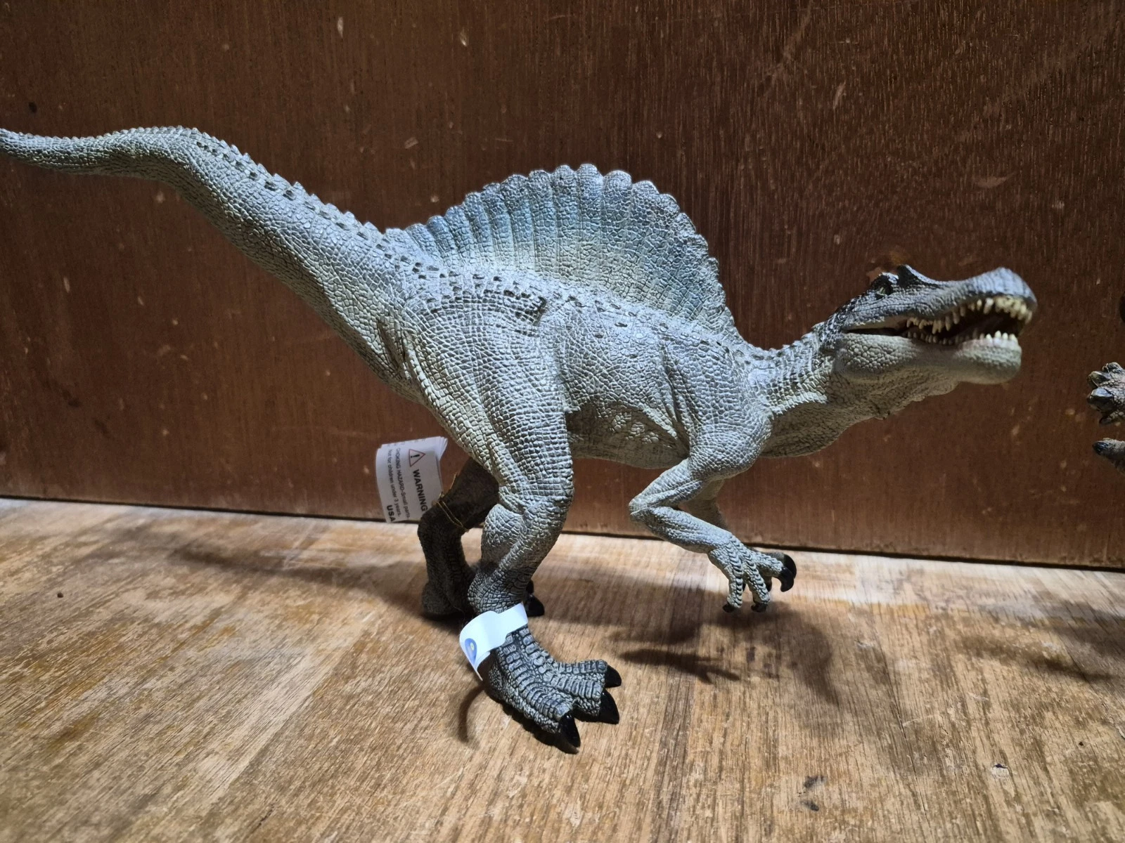 Dinossauro Spinossauro Museum Model 7 Dinossauro Spinossauro Museum Model - Imagem 7