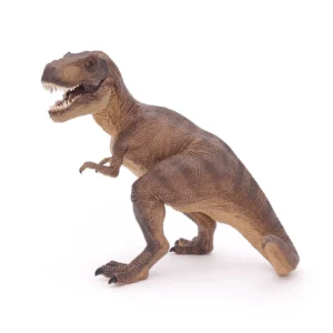 Home 22 Dinossauro Tiranossauro Rex Macho Museum Model