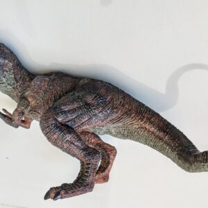 Home 14 Dinossauro Tiranossauro Rex Max Museum Model