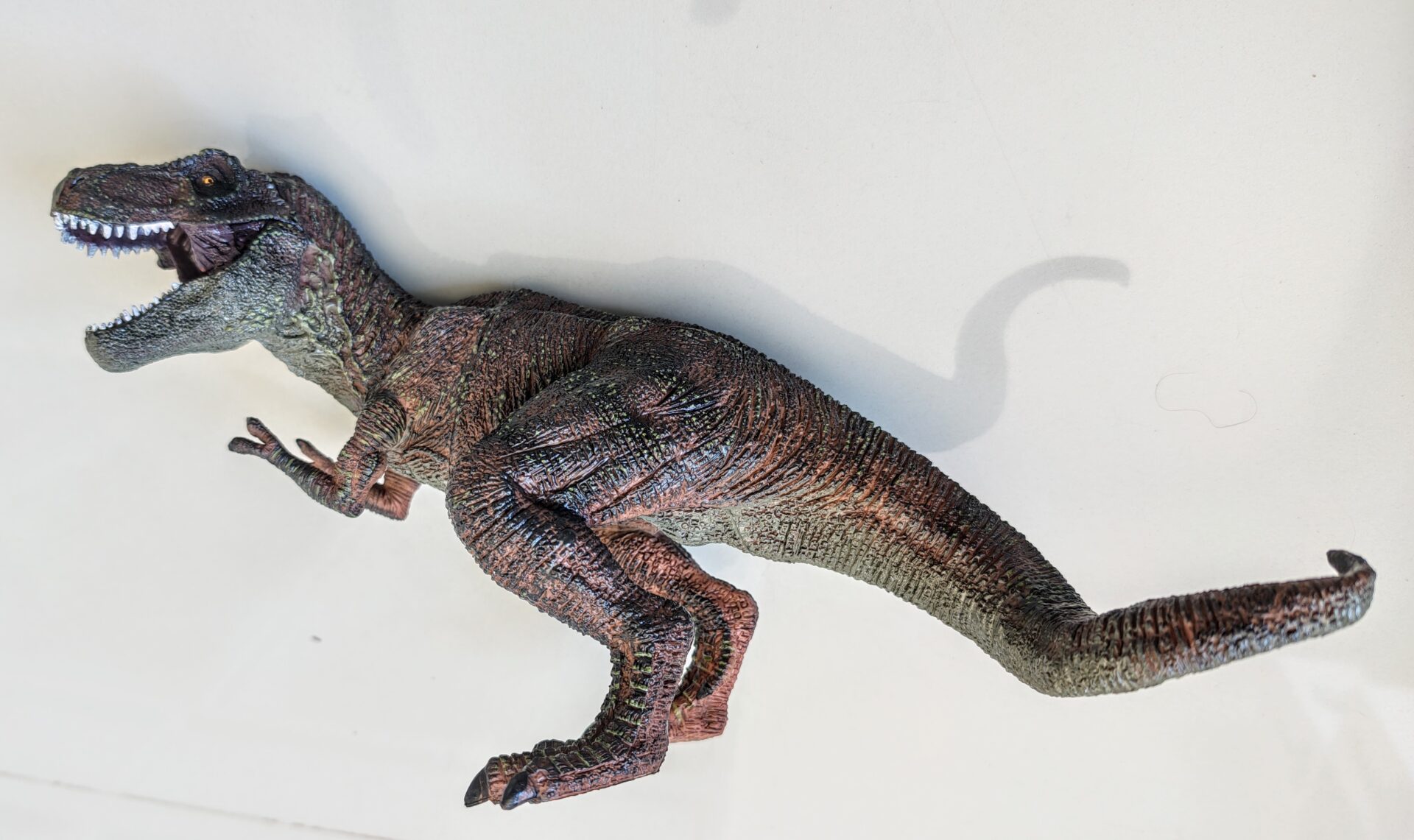 Dinossauro Tiranossauro Rex Max Museum Model 2 Dinossauro Tiranossauro Rex Max Museum Model - Imagem 2