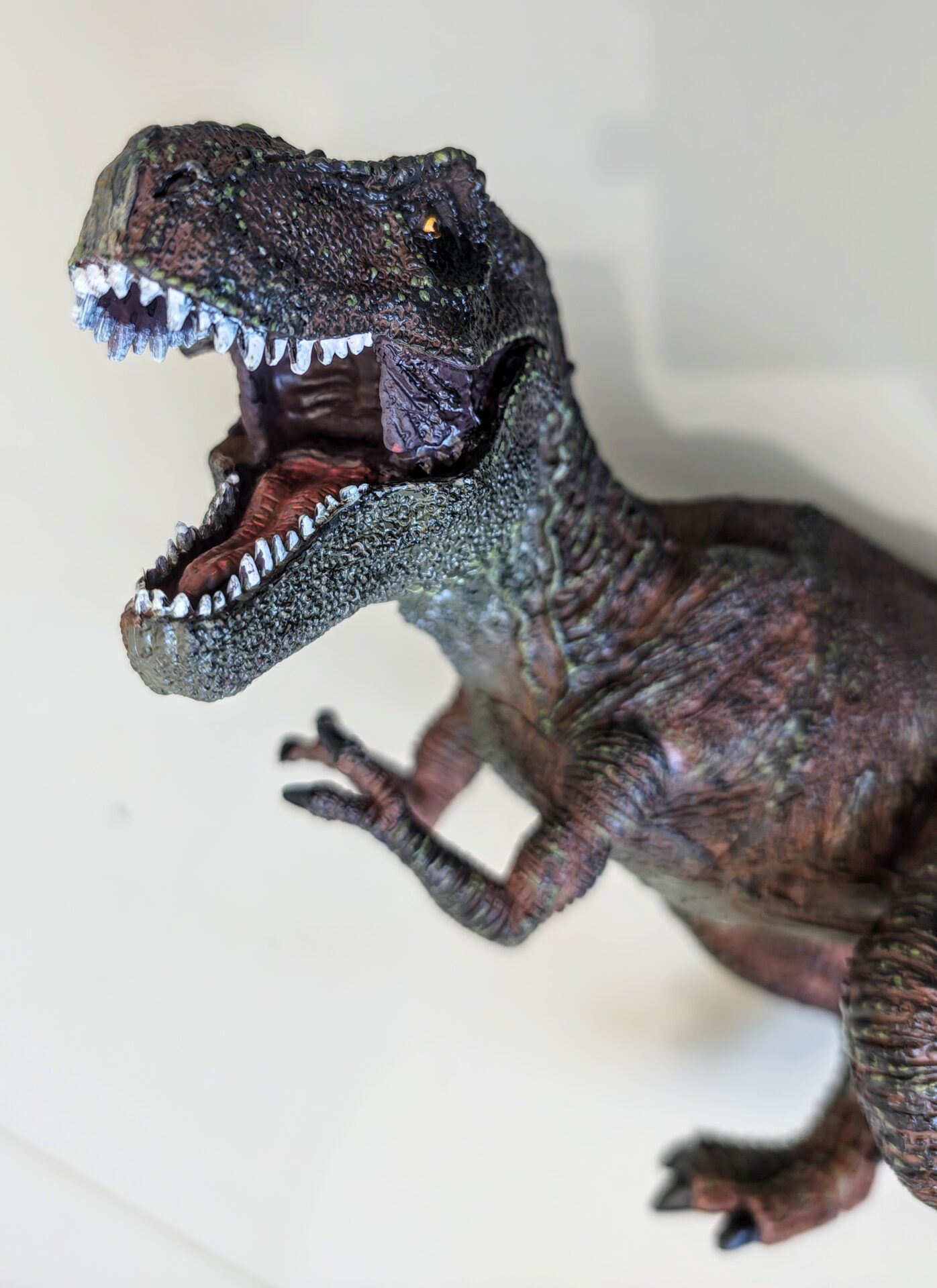 Dinossauro Tiranossauro Rex Max Museum Model 3 Dinossauro Tiranossauro Rex Max Museum Model - Imagem 3