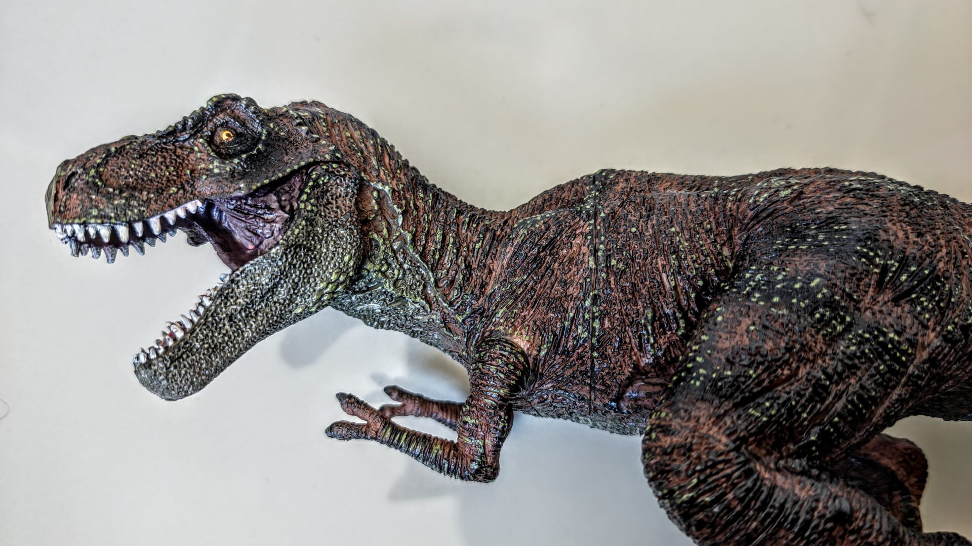 Dinossauro Tiranossauro Rex Max Museum Model 4 Dinossauro Tiranossauro Rex Max Museum Model - Imagem 4