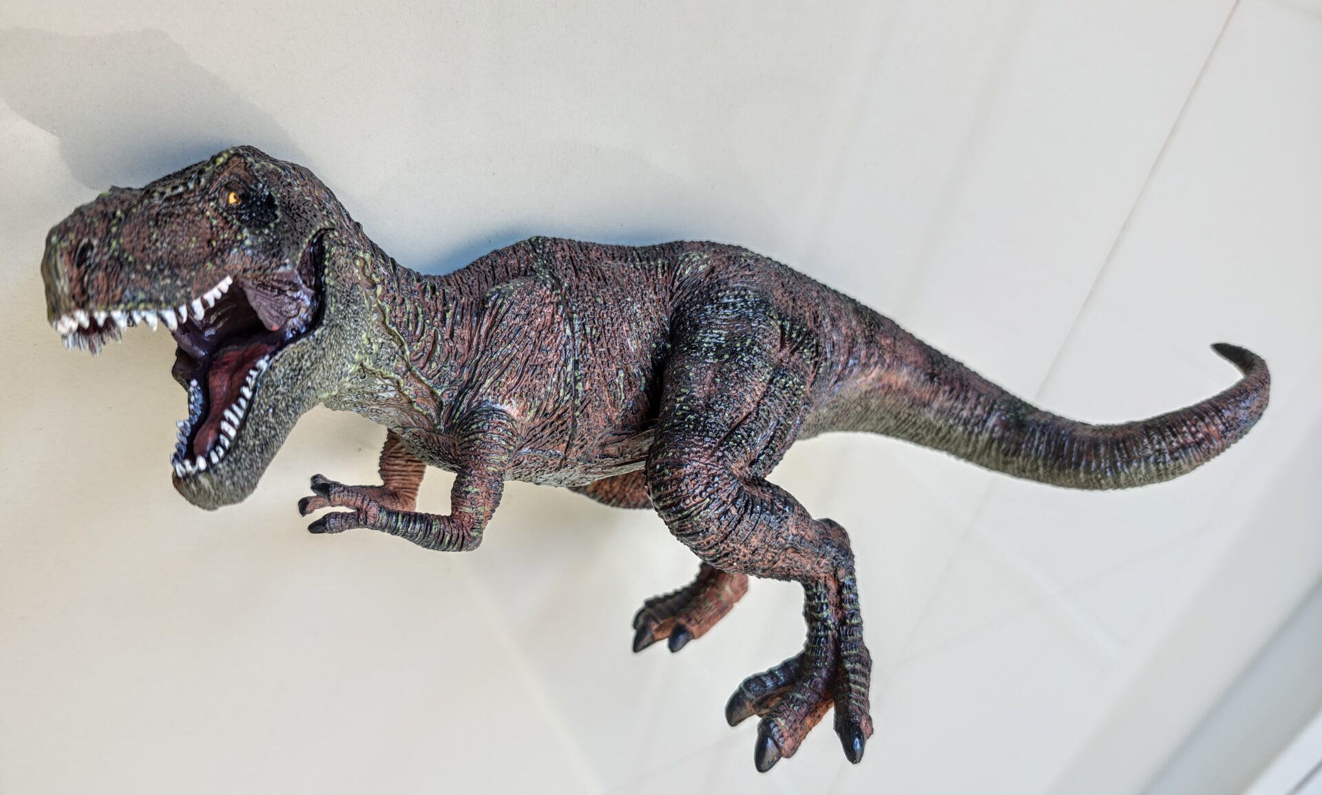 Dinossauro Tiranossauro Rex Max Museum Model 5 Dinossauro Tiranossauro Rex Max Museum Model - Imagem 5
