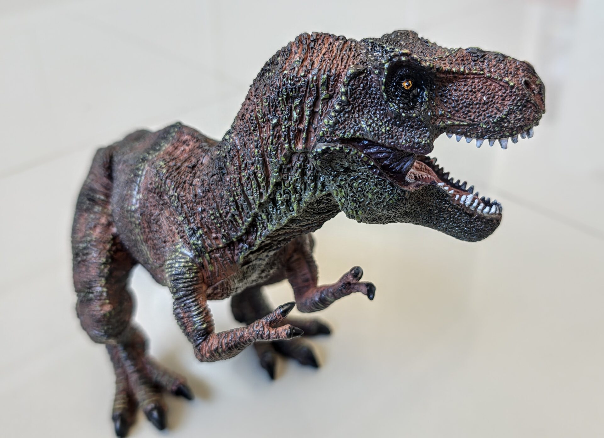 Dinossauro Tiranossauro Rex Max Museum Model 8 Dinossauro Tiranossauro Rex Max Museum Model - Imagem 8