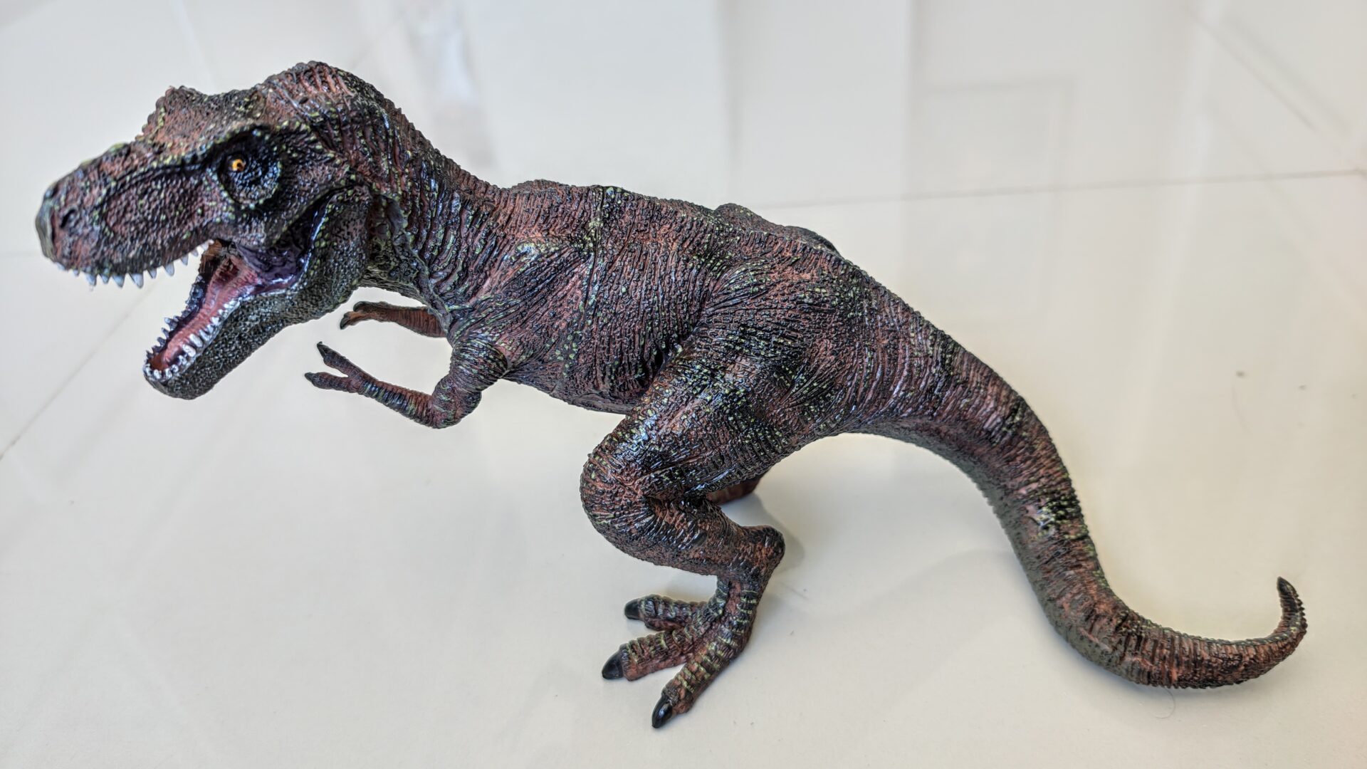 Dinossauro Tiranossauro Rex Max Museum Model 10 Dinossauro Tiranossauro Rex Max Museum Model - Imagem 10