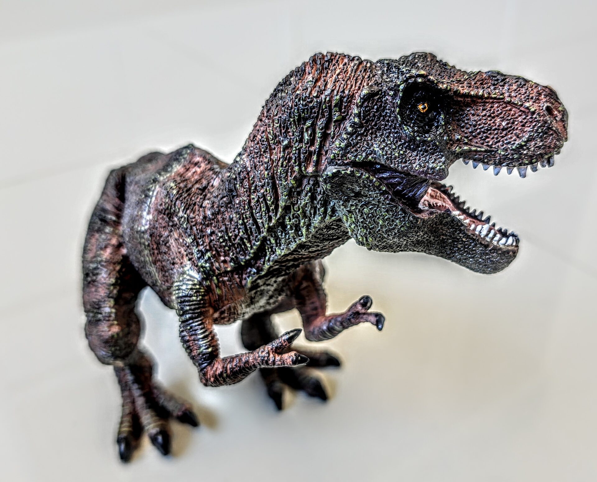 Dinossauro Tiranossauro Rex Max Museum Model 12 Dinossauro Tiranossauro Rex Max Museum Model - Imagem 12