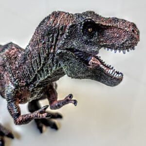 Home 13 Dinossauro Tiranossauro Rex Max Museum Model