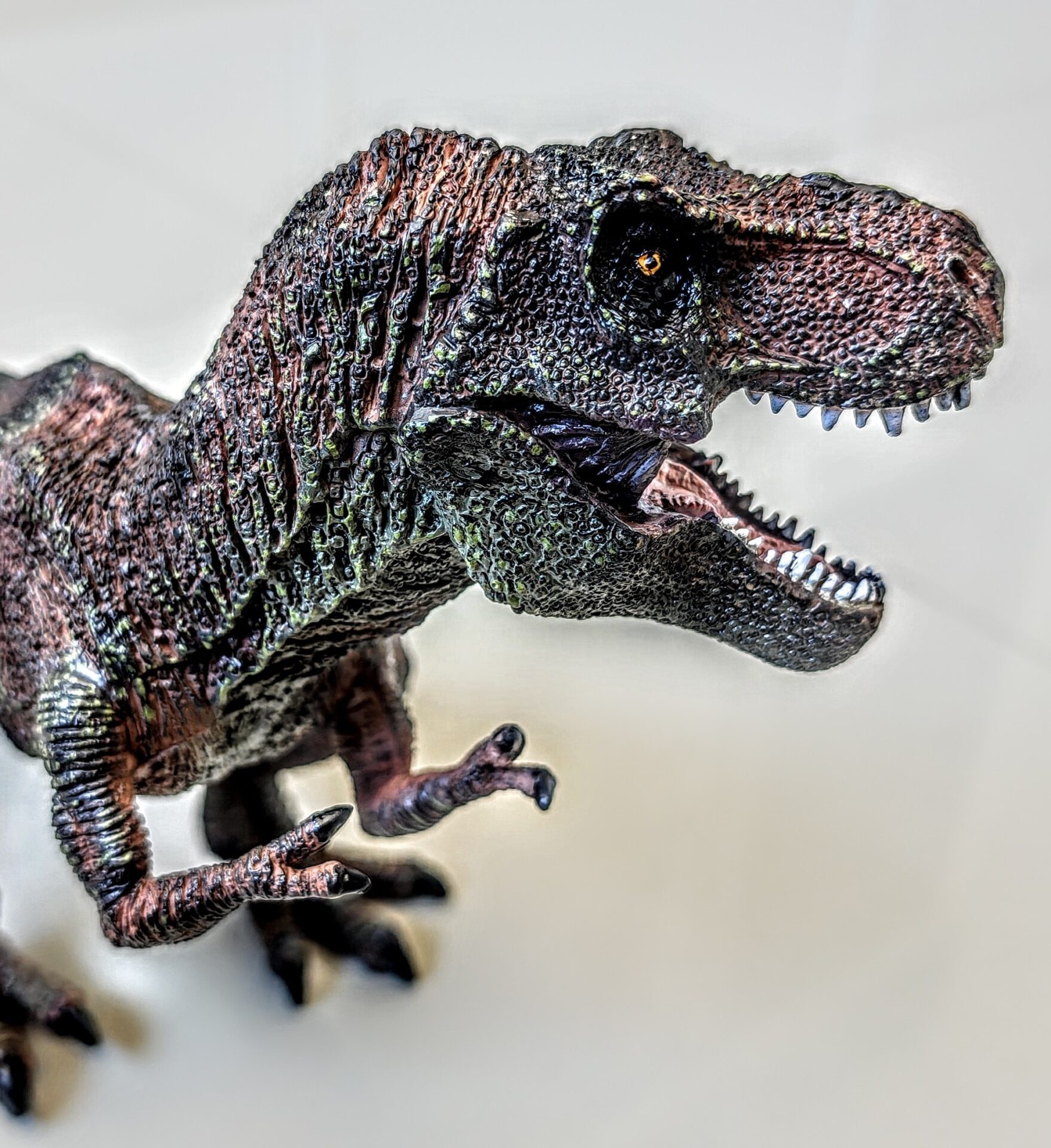 Dinossauro Tiranossauro Rex Max Museum Model 1 Dinossauro Tiranossauro Rex Max Museum Model