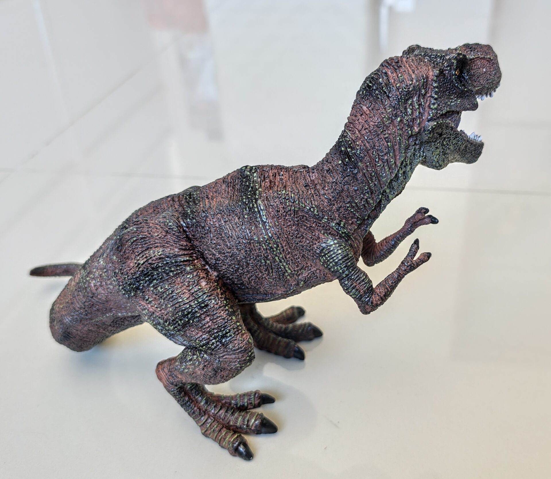 Dinossauro Tiranossauro Rex Max Museum Model 11 Dinossauro Tiranossauro Rex Max Museum Model - Imagem 11