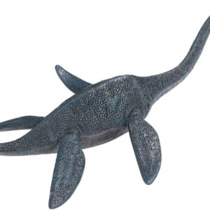 Home 14 Dinossauro Pleciossauro Museum Model